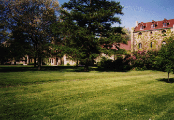 Spacious, tree shaded picnic area