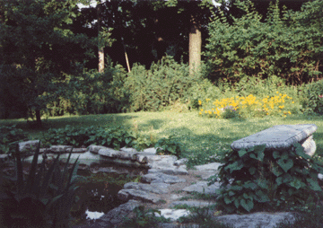 Bench by Goldfish pond