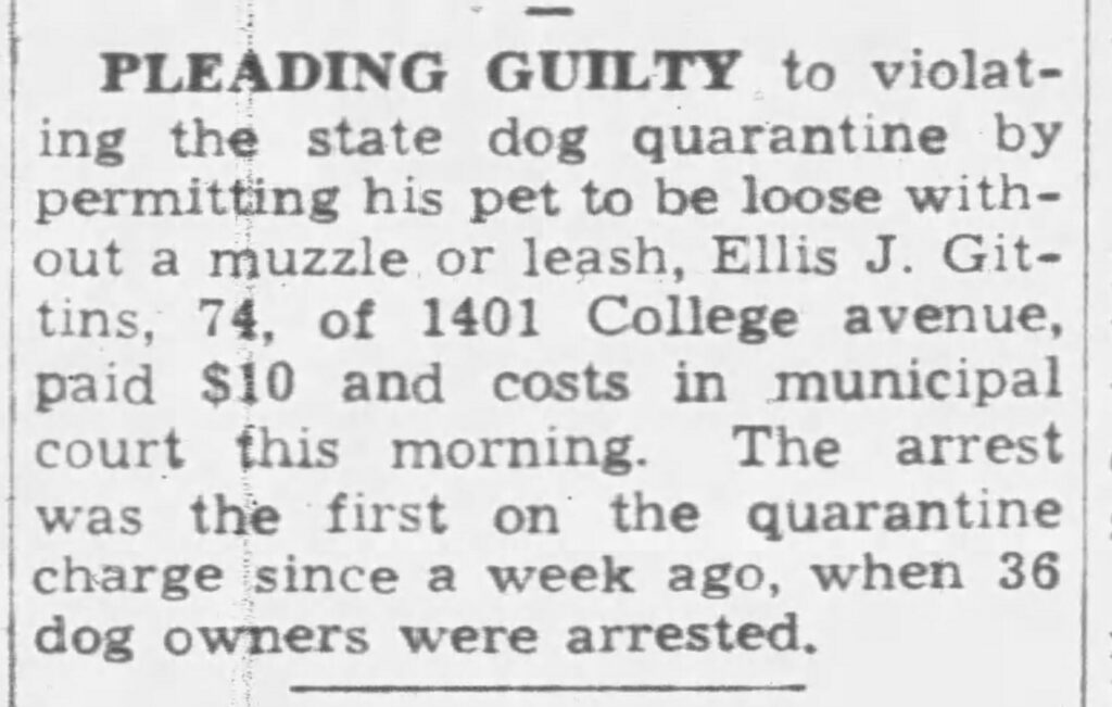 Pleading Guilty to violating the state dog quarantine by permitting his pet to be loose without a muzzle or leash, Ellis J. Gittins, 74, of 1401 College avenue, paid $10 and costs in municipal court this morning. The arrest was the first on the quarantine charge since a week ago, when 36 dog owners were arrested.